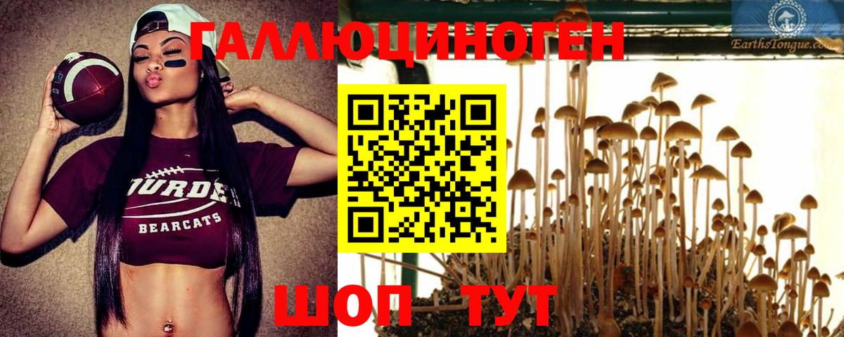 наркотики  Галлюциногенные грибы Cubensis  Вход с VPN  Сафоново 